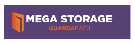 Logo de Mega Storage