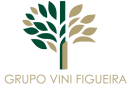 grupo vini figueira